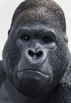 Dekoracja Stojąca Gorilla 60x76 Cm Ciemnoszara