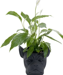 Doniczka Bulldog 33x38 Cm Czarna
