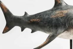 Figurka Dekoracyjna Shark Base 59x39 Cm Kolorowy