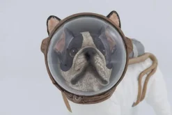Figurka Dekoracyjna Space Dog 25x21 Cm
