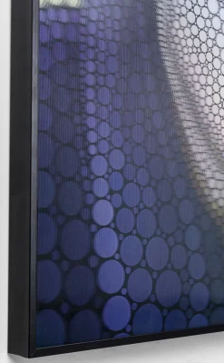 Obraz 3D King 57x70 Cm
