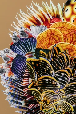 Obraz Kwadratowy Kolorowy Rama Czarna Z Aluminium 120x120 Cm