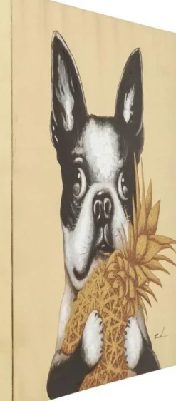 Obraz Touched Dog With Pineapple 80x80 Cm