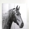 Parawan Beauty Horses 160x180 Cm