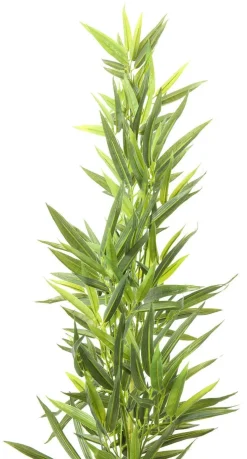 Roślina Dekoracyjna Bamboo Tree 200 Cm