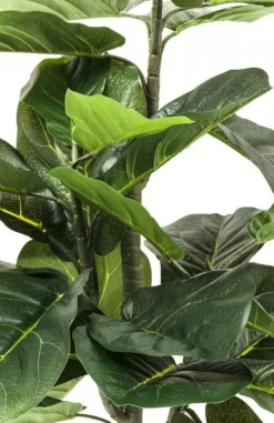 Roślina Dekoracyjna Fiddle Leaf 120 Cm
