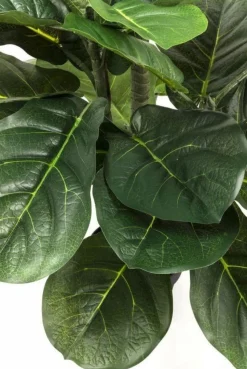 Roślina Dekoracyjna Fiddle Leaf 120 Cm