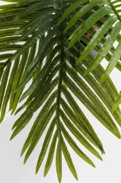 Roślina Dekoracyjna Palm Tree 190 Cm