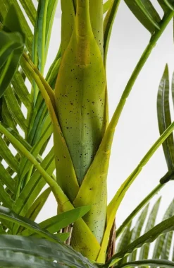 Roślina Dekoracyjna Palm Tree 190 Cm