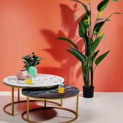 Roślina Dekoracyjna Paradise Flowers 190 Cm