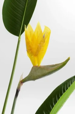 Roślina Dekoracyjna Paradise Flowers 190 Cm