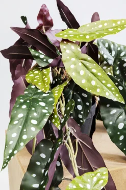 Roślina Sztuczna Do Salonu Begonia 45 Cm