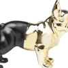 Skarbonka Bulldog 34x28 Cm Czarno-złota