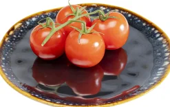 Talerz Obiadowy Kamionkowy Ciemnoniebieski Ø26 Cm