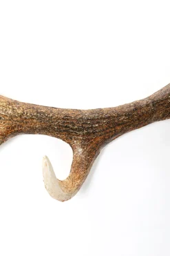 Wieszak ścienny Stalowy Naturalny Poroże 35 Cm